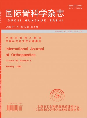 国际骨科学杂志 
