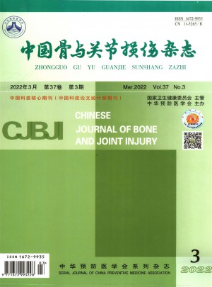 中国骨与关节损伤杂志 