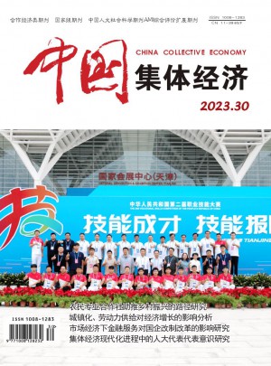 中国集体经济杂志 