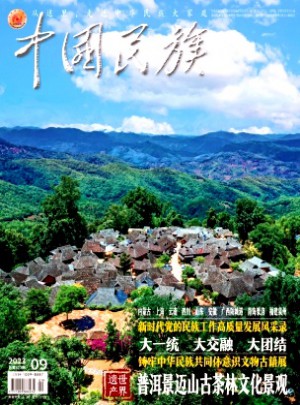 中国民族杂志 
