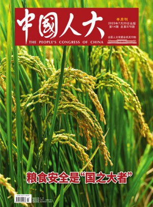 中国人大杂志 