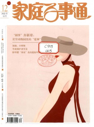 家庭百事通杂志 