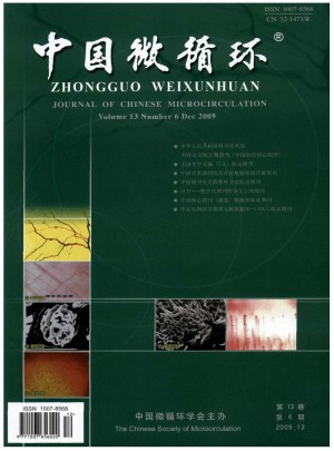 中国微循环杂志 