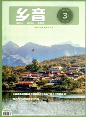 乡音杂志 