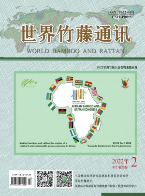 世界竹藤通讯杂志 