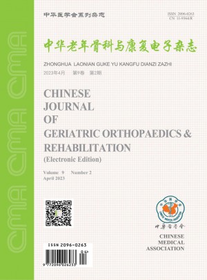 中华老年骨科与康复电子杂志 