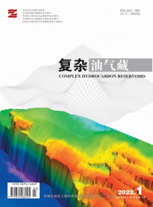 小型油气藏杂志 