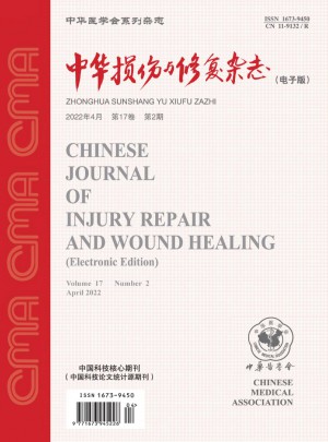 中华损伤与修复杂志 