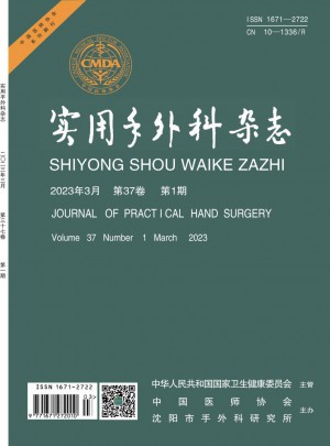 实用手外科杂志 
