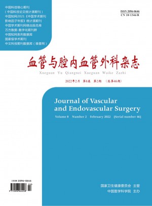 血管与腔内血管外科杂志 