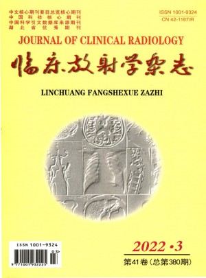 临床放射学杂志 